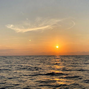 Meet your Posher, Paul